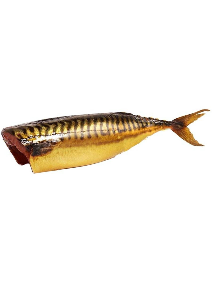 Fish Mackerel Cold Smoked 4kg (apprx 13 fish of 300g each) / per kg price